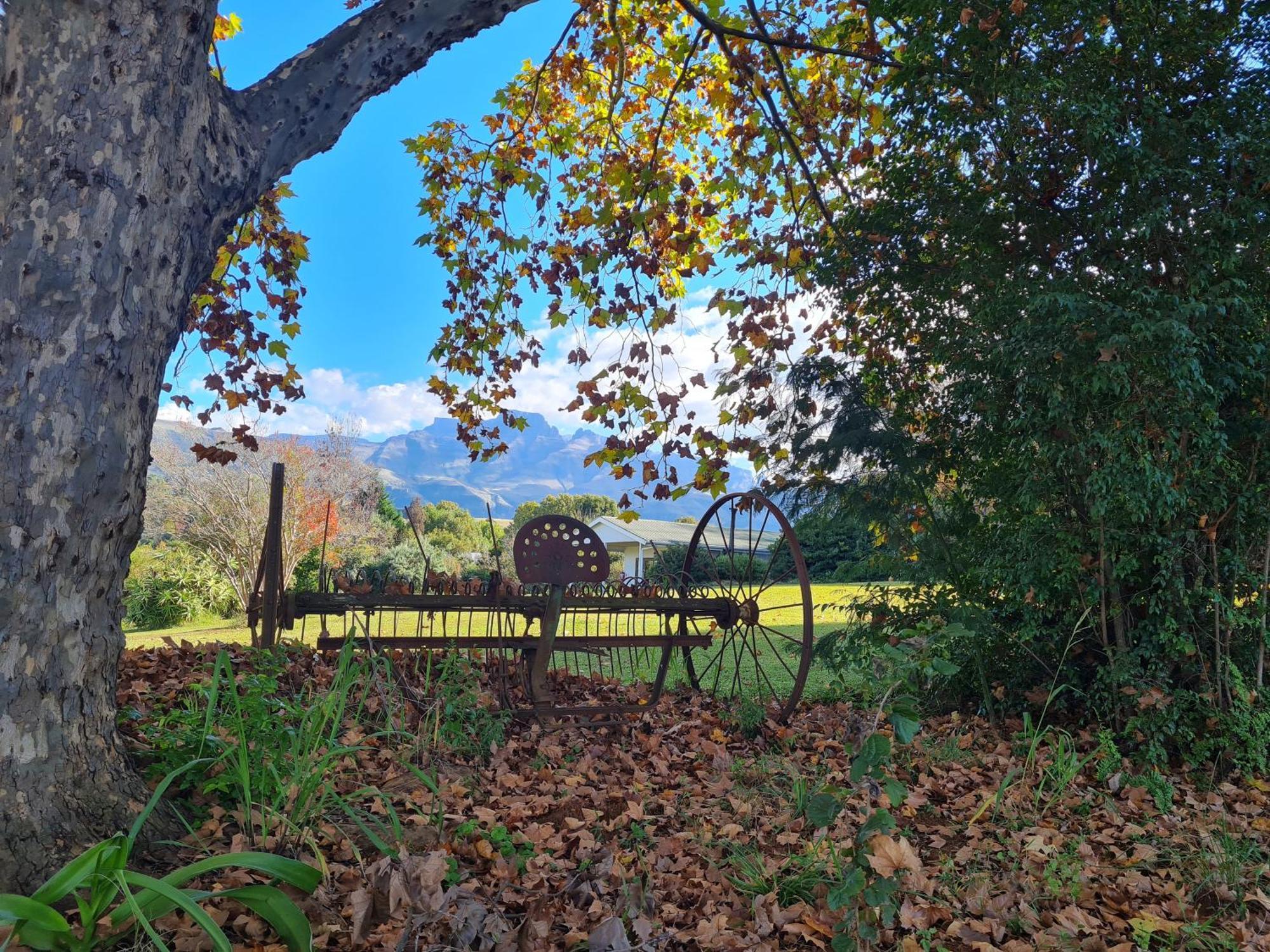 Swallowfield Rondavels Champagne Valley Екстериор снимка